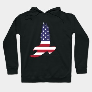 Eagle of the United States Hoodie